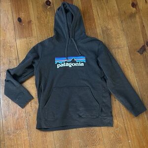 Patagonia esspresso brown Hoodie with Logo